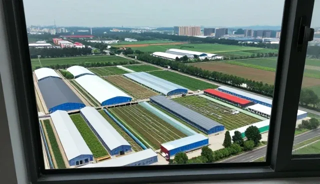 电商运营中一件代发的性能表现与适用场景解析